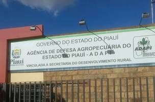 Agência de Defesa Agropecuária do estado (ADAPI) (Foto: Reprodução/ Internet)