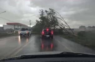 Forte chuva em Campo Maior (Foto: Reprodução/Whatsapp)