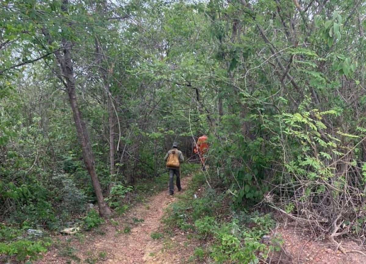 Mulher que estava desaparecida é encontrada morta em matagal