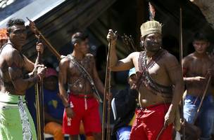 Território indígena Yanomami (Foto: Reprodução/ Agência Brasil)