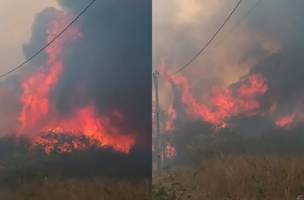 O incêndio se iniciou na cidadede Caracol, sul do Piauí; (Foto: Reprodução/Redes Sociais)