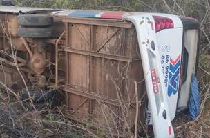 Ônibus com 29 passageiros tomba na BR-343 no Norte do Piauí. (Foto: Divulgação/ Redes Sociais)