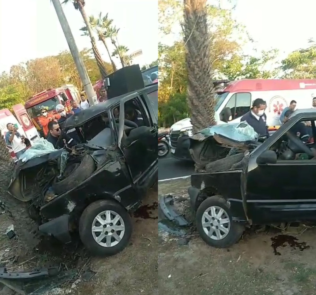 Motorista Colide em Canteiro Central e Choca Carro Contra Árvore na Av. Marechal.