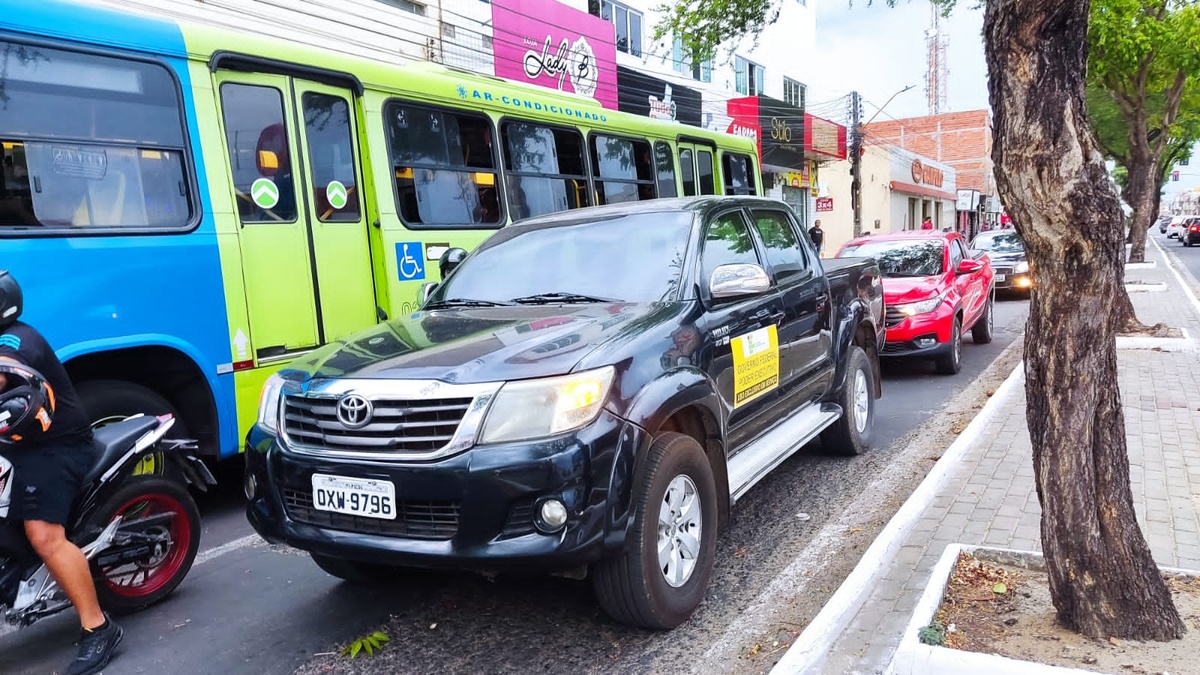 Vendaval provoca queda de árvore em Teresina
