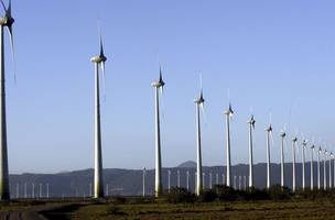 Energia Eólica (Foto: Agência Brasil)