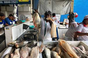 Mercado do Peixe de Teresina (Foto: Luis Fernando Amaranes/ Correio Piauiense)