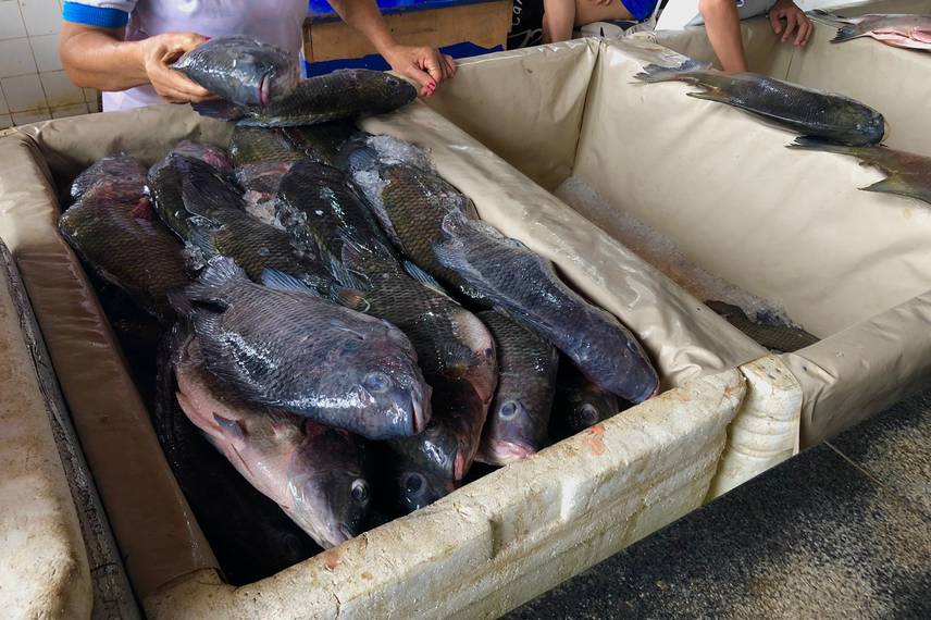 Mercado do Peixe de Teresina