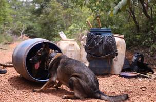 Descoberta de depósito de drogas e munições em Timon (Foto: FOTO: ASCOM SSPI)