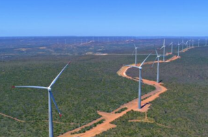 Usina eólica no Piauí (Foto: Reprodução/Internet)