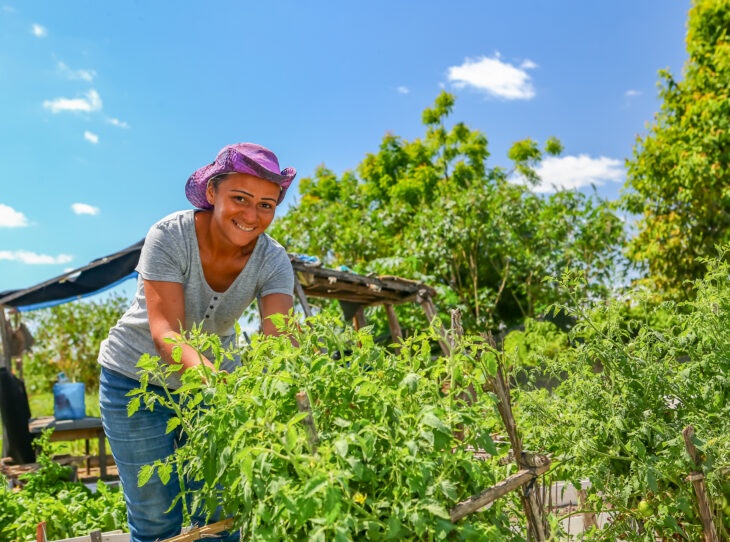 Balanço de investimentos do Governo do Piauí na agricultura familiar