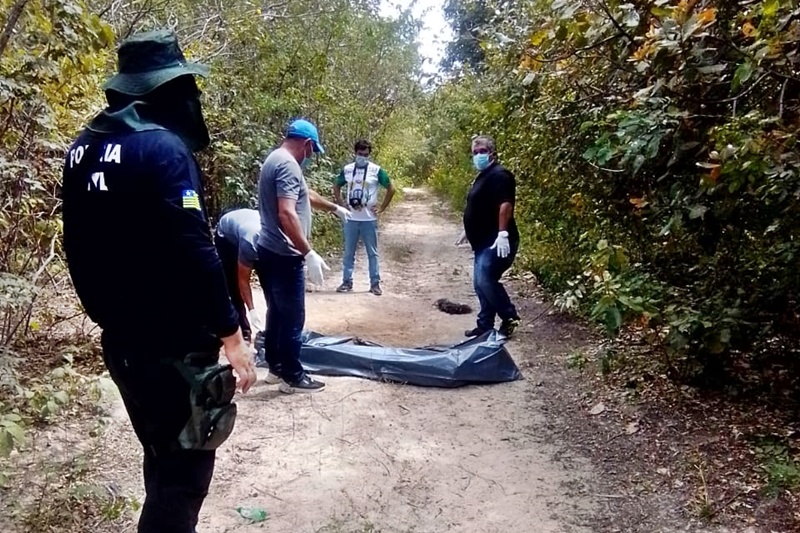 Corpo de mulher em estado de decomposição foi encontrado em uma estrada vicinal.