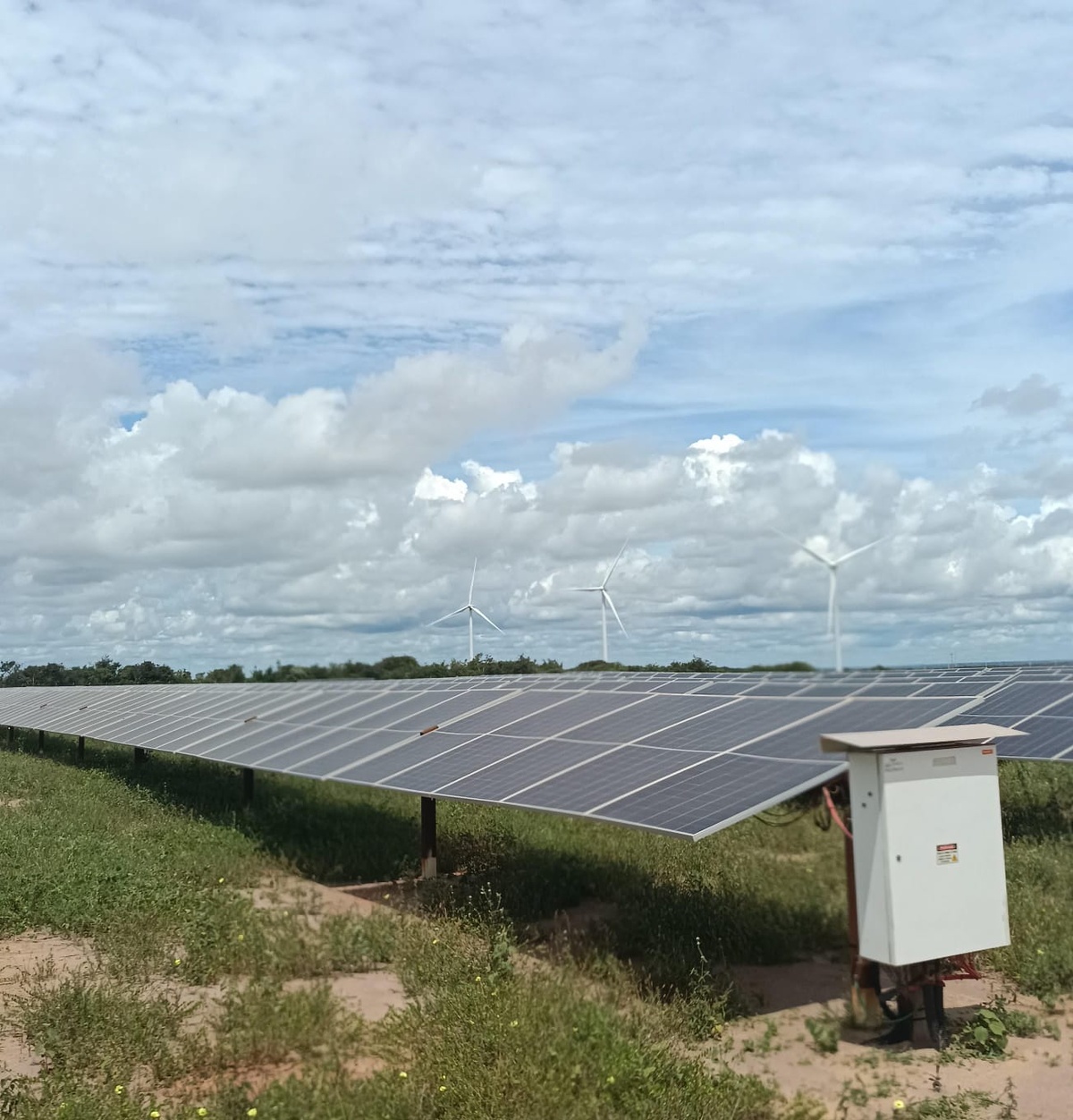 Energia eólica e solar do Piauí