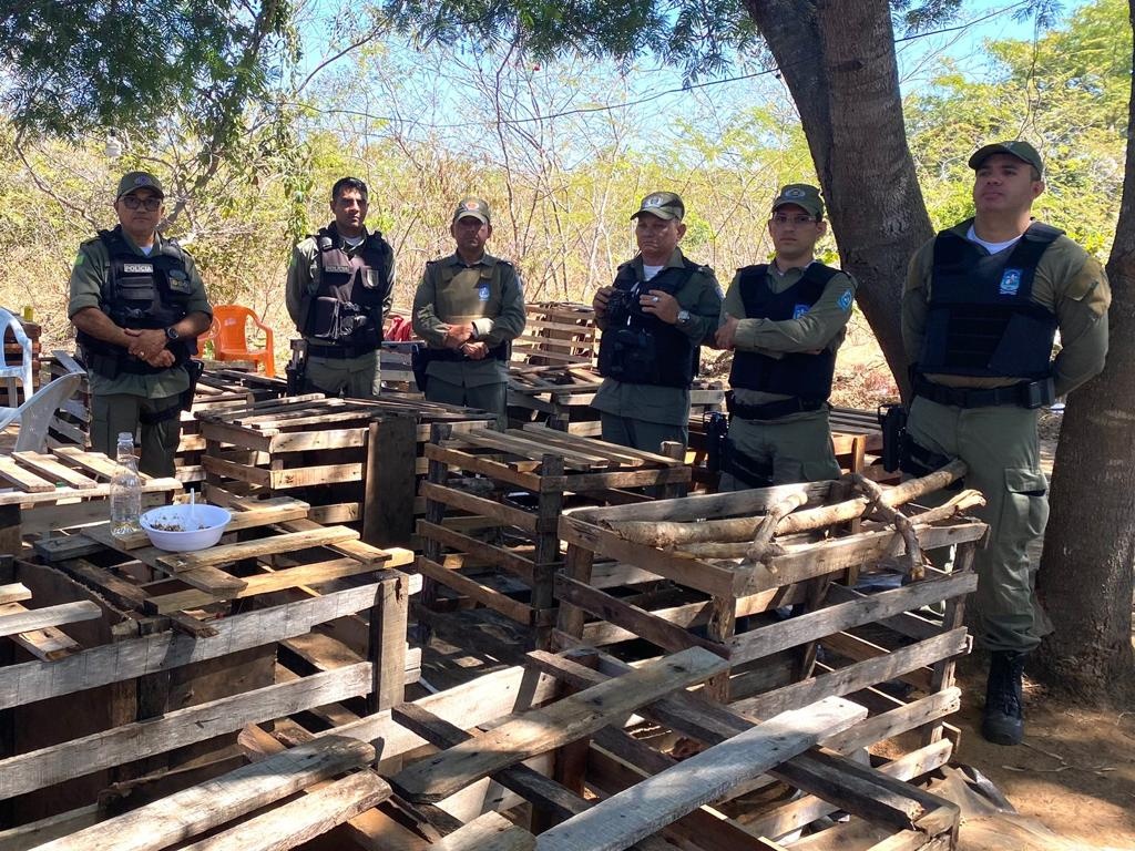 Local onde acontecia o campeonato de brigas de galos.