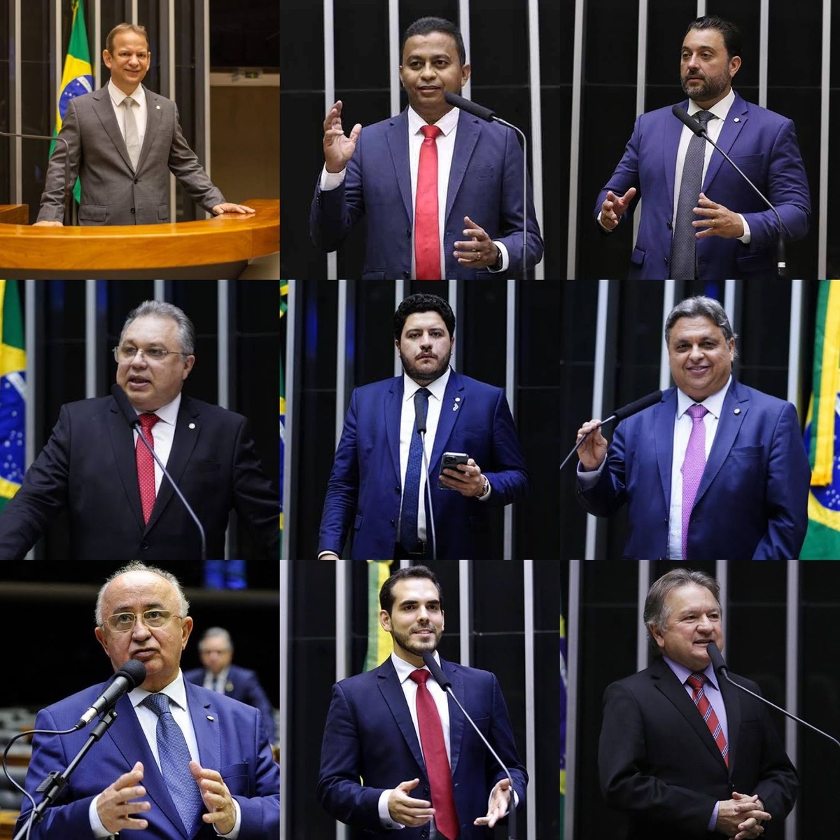 Representantes do Piauí na Câmara dos Deputados.