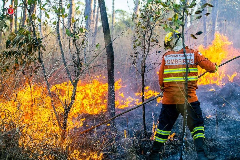 Semarh lança canal de denúncias para combate a incêndios florestais.