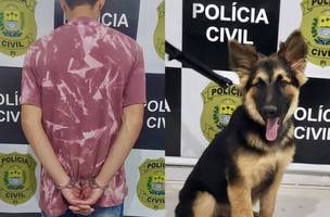 Homem é preso acusado de comprar cão de raça roubado no Sul do Piauí. (Foto: Reprodução/ Ascom)
