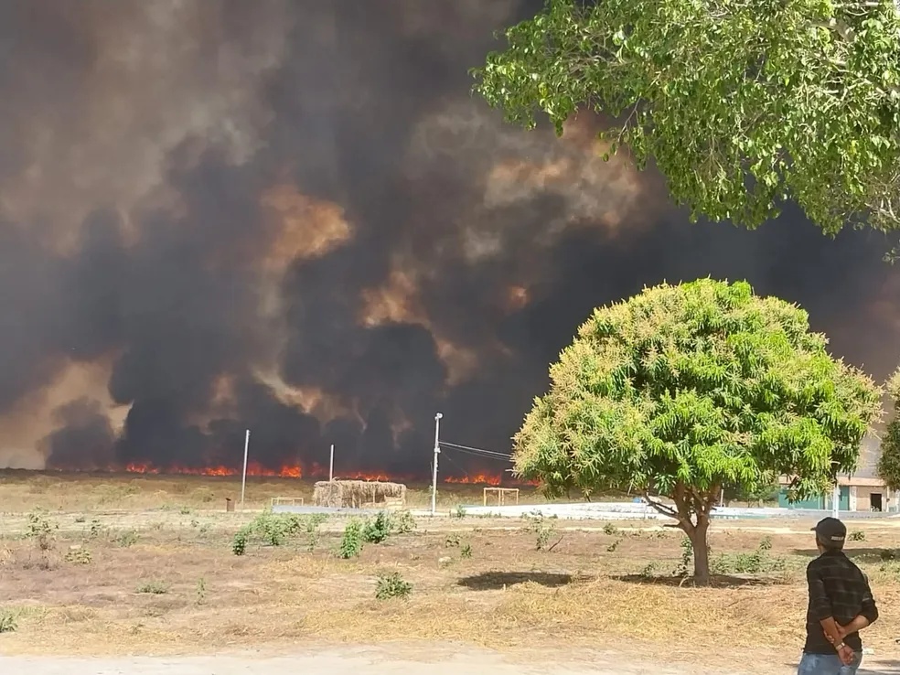 Parte da área atingida pelo incêndio era de preservação permanente.