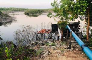 Fazenda de Camarão recebe multa de R$ 1 milhão por desvio de água no Litoral. (Foto: Darival Júnior / Semarh)