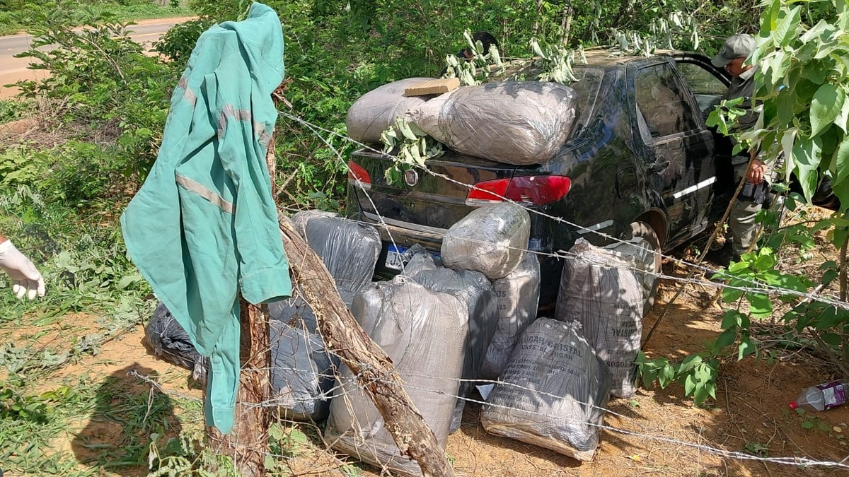 Polícia apreende 15 sacolas cheias de maconha no Sul do Piauí.