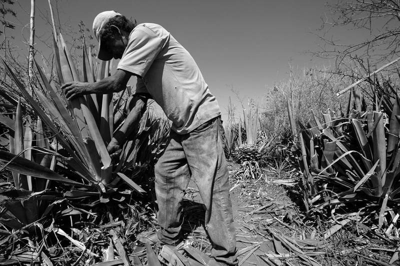 Piauí tem quatro novos registros na Lista Suja do trabalho escravo