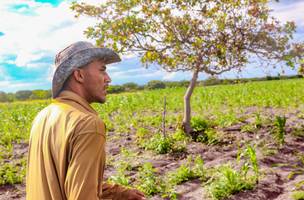 Produtores rurais no Piauí. (Foto: Divulgação/ Ascom)