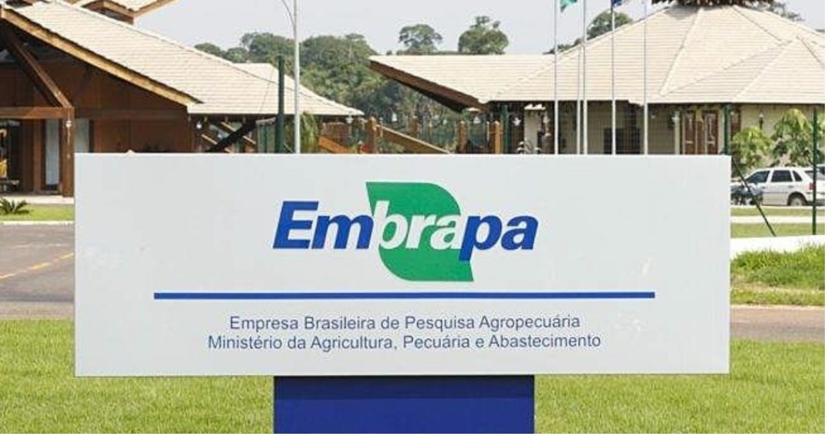 Embrapa lança concurso com mais de 1000 vagas para todo o Brasil.