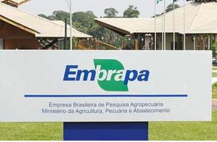 Embrapa lança concurso com mais de 1000 vagas para todo o Brasil. (Foto: Reprodução: Internet)