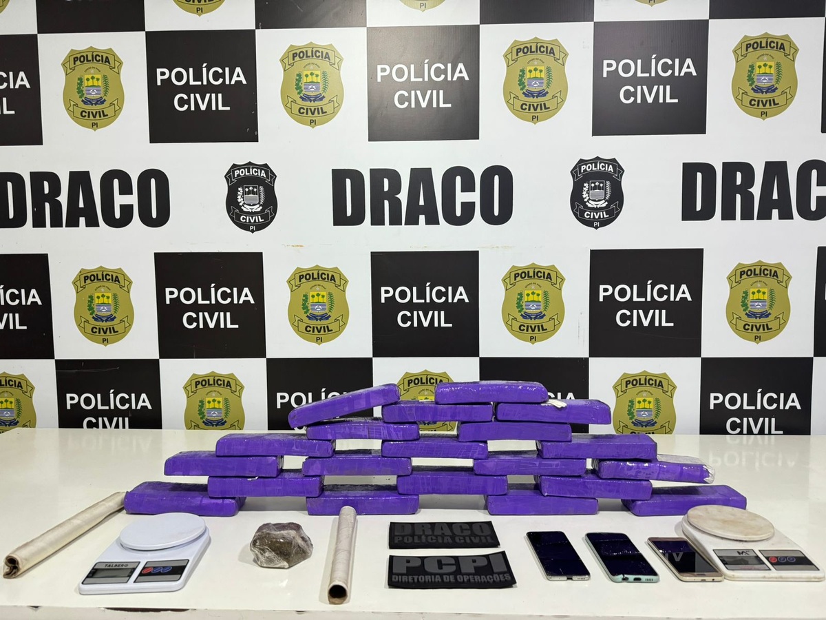 Polícia Civil apreende 20 tabletes de maconha e prende suspeito em Teresina.