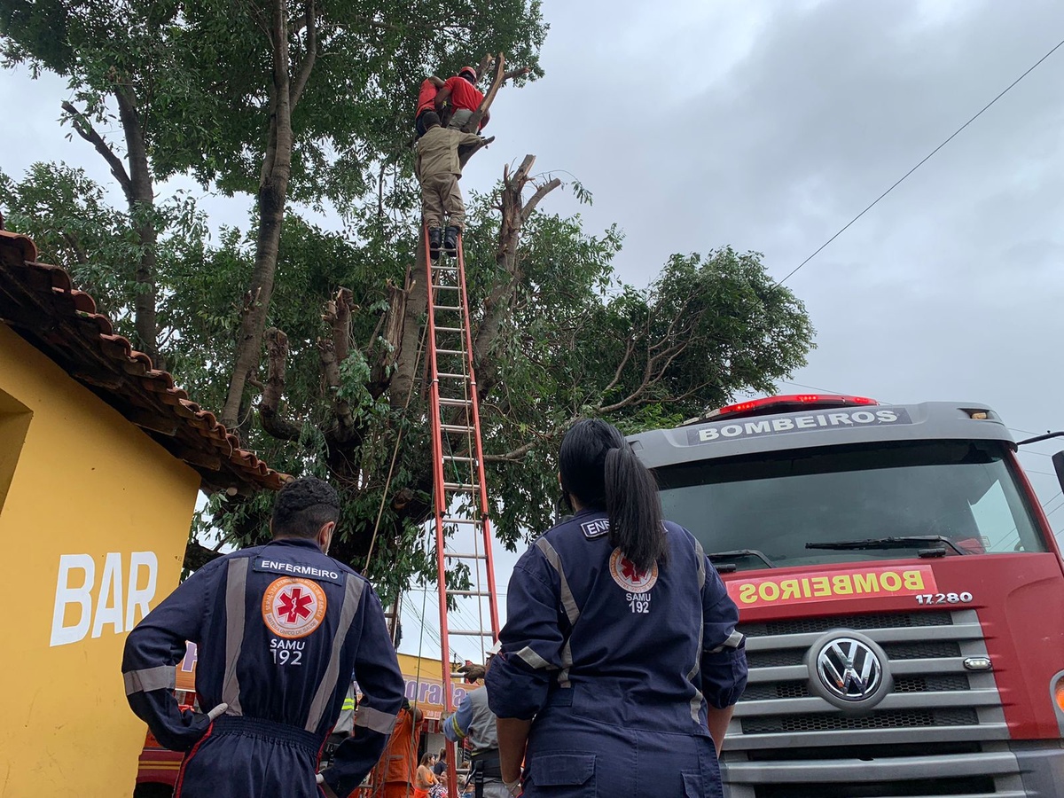Jovem fica ferido após receber descarga elétrica durante poda de árvore no Piauí.