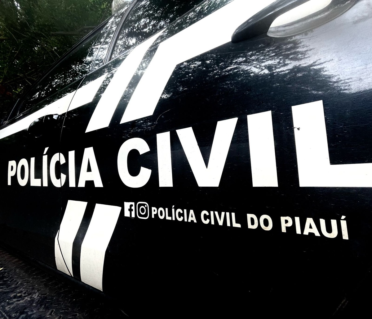 Polícia Civil do Piauí.