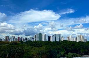 Teresina investirá em arborização urbana para combater mudanças climáticas. (Foto: Luis Fernando Amaranes/ Correio Piauiense)