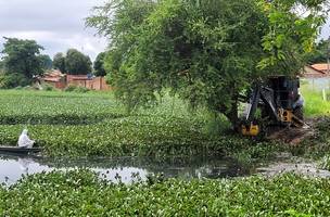 Viver+Teresina inicia limpeza de lagoa e destinará aguapés para compostagem. (Foto: Ascom/Semplan)