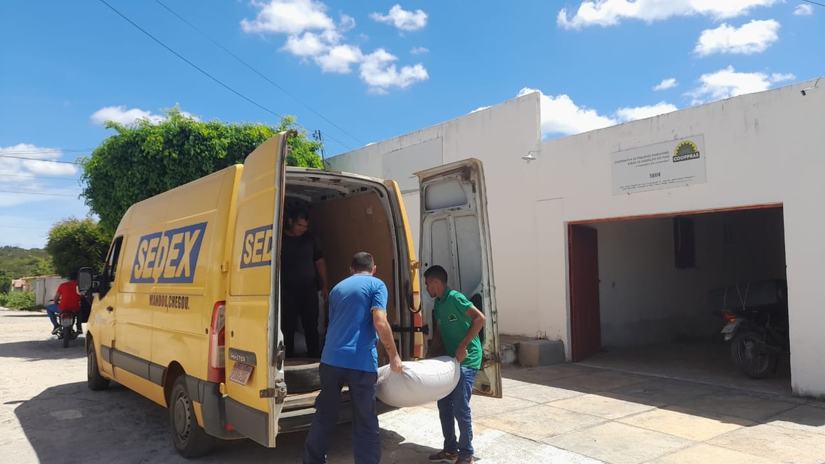 Ação humanitária de Cooperativa do Piauí.