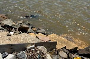 Corpo é "fisgado" por pescador durante pescaria no litoral do Piauí. (Foto: Divulgação/ SSP-PI)