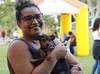 Governo abre cadastro para quem cuida de animais de forma voluntária no Piauí