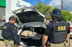 PRF apreende mais de mil medicamentos controlados na BR-343 no Norte do Piauí. (Foto: Reprodução/ PRF)