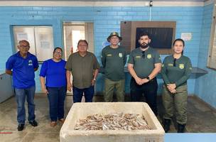 Operação Piracema apreende pescado e materiais de pesca ilegal em Teresina. (Foto: Reprodução/ Semarh)