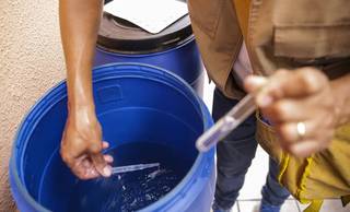 Teresina registra caso de dengue tipo 3, vírus que não circulava no país há anos Teresina registra caso de dengue tipo 3, vírus que não circulava no país há anos