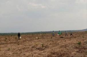 13 trabalhadores em condições análogas à escravidão no sul do Piauí. (Foto: Diuvlgação)