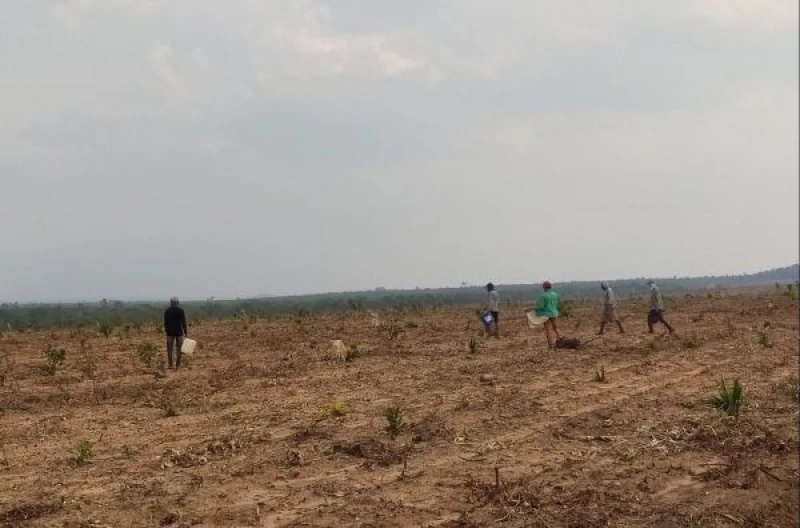 13 trabalhadores em condições análogas à escravidão no sul do Piauí.
