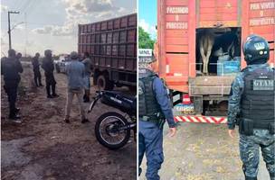 Homens são presos por transportar jumentos furtados no Maranhão com destino ao Piauí. (Foto: Reprodução)