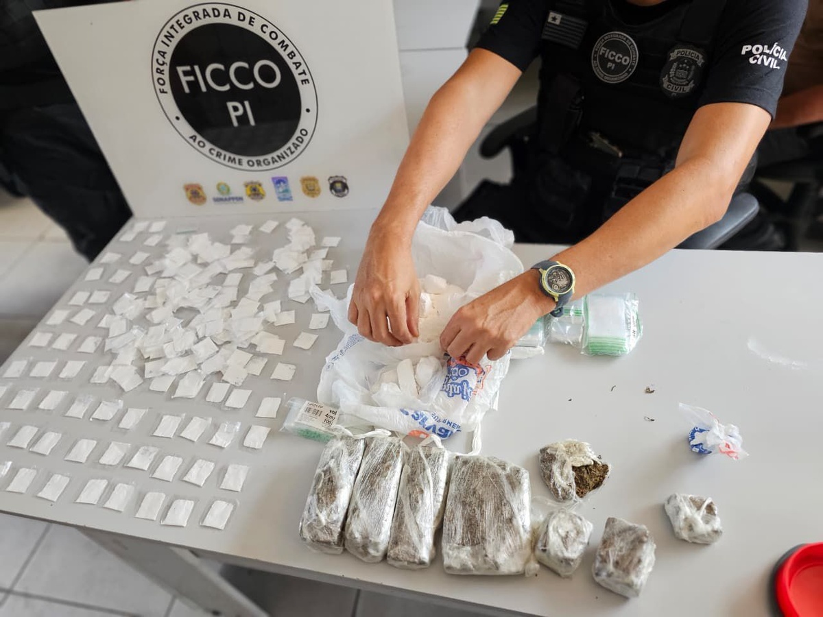 Materiais apreendidos durante a ação policial.