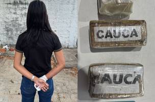 Mulher é presa com três quilos de skunk em ônibus durante operação no Piauí. (Foto: Divulgação/ SSP-PI)