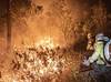 Piauí registra mais de 122 mil focos de incêndio em 12 anos; Nordeste lidera ocorrências