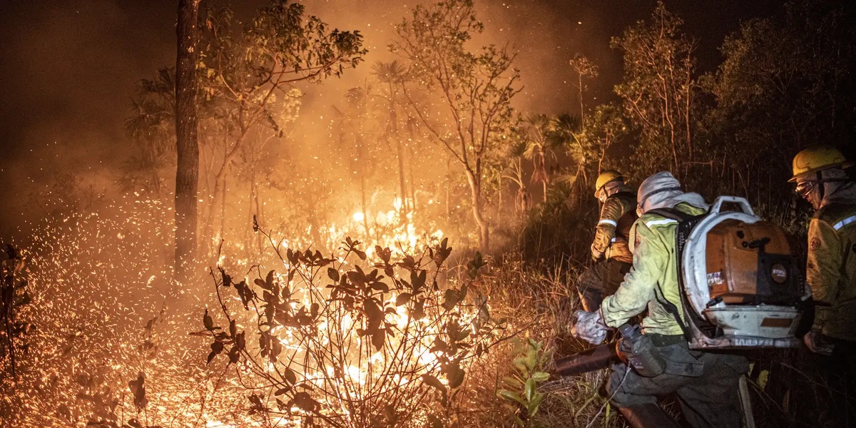 Piauí registra 122 mil focos de incêndio entre 2013 e 2024.