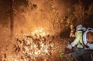 Piauí registra 122 mil focos de incêndio entre 2013 e 2024. (Foto: Reprodução/ Agência Brasil)