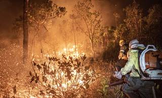 Piauí registra 1.029 focos de incêndio em agosto; Floriano concentra maior número Piauí registra 1.029 focos de incêndio em agosto; Floriano concentra maior número
