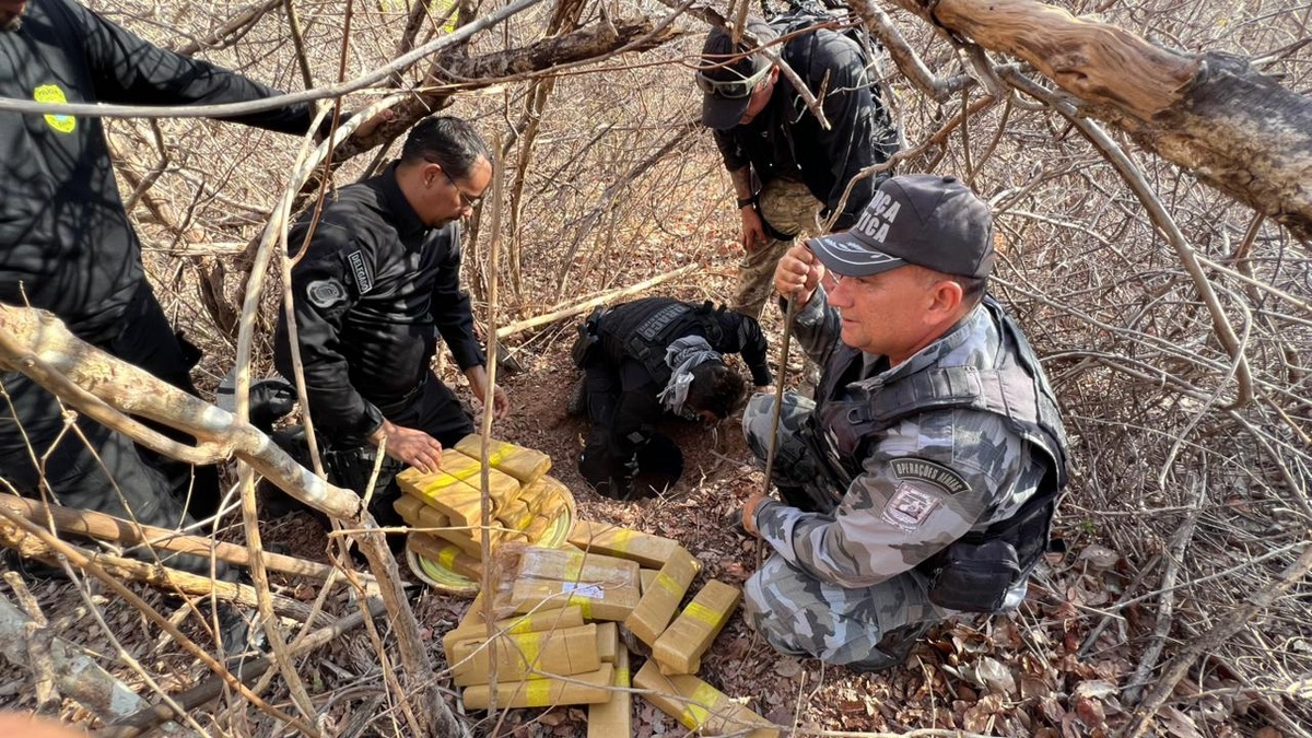 Apreensão de drogas.