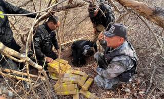 Ação integrada retira 300 kg de cocaína de circulação no litoral do Piauí