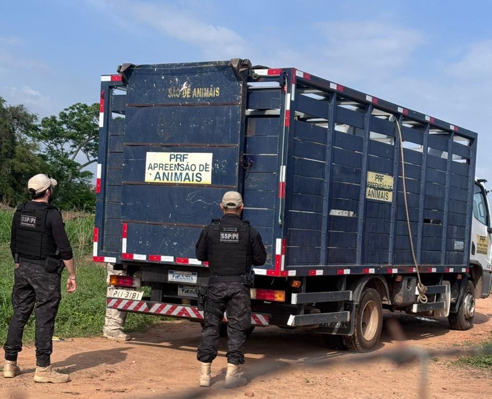 Mais de 40 animais são recolhidos e conduz cinco pessoas no Piauí.